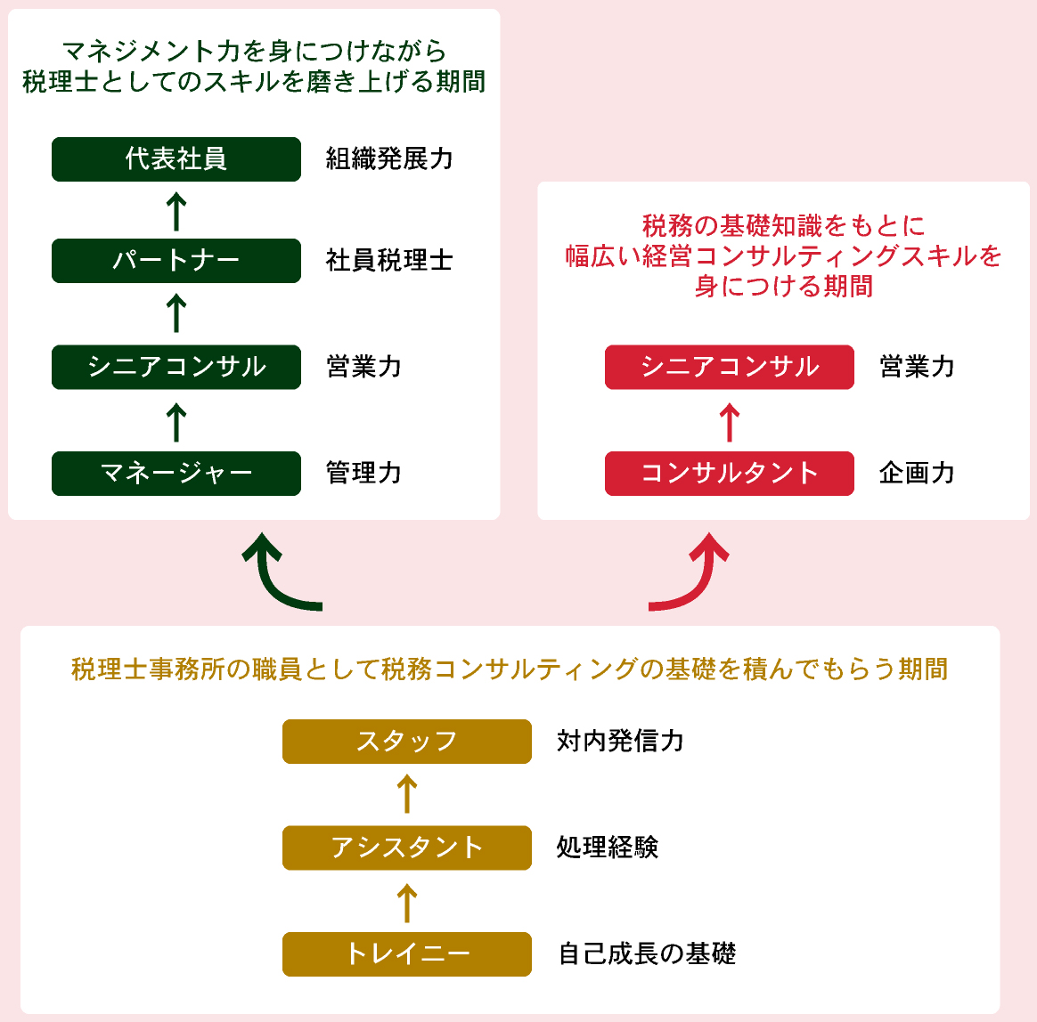 税理士法人あおばのキャリアプランの画像